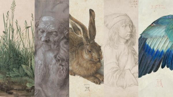 Альбрехт Дюрер "Дюрер"