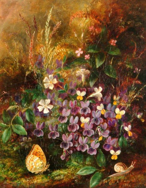 Альбрехт Дюрер заяц