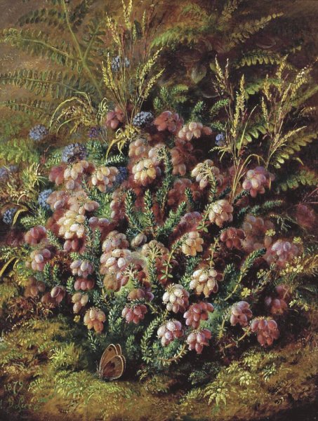 Альбрехта Дюрера гравюра «жизнь Марии