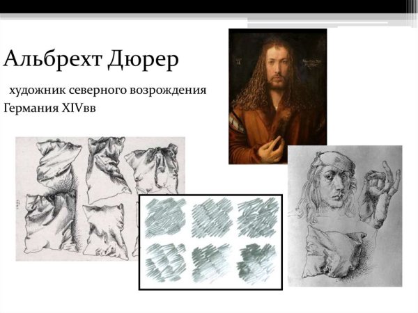 Альбрехт Дюрер портрет зайца