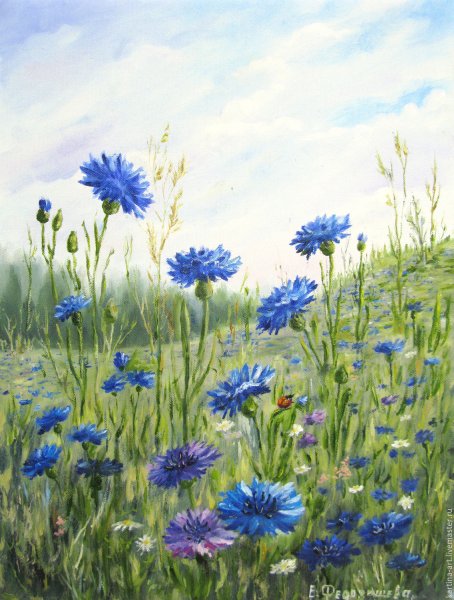 Полевые цветы красками