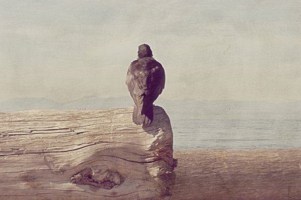 Одинокий человек картина