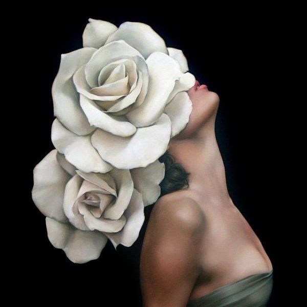 Amy Judd картины по номерам