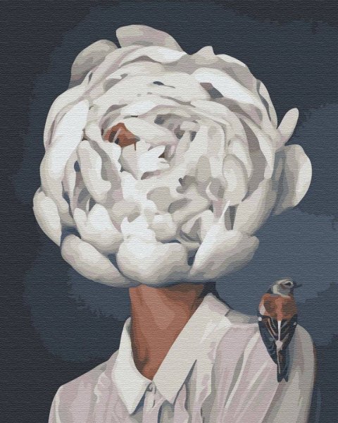 Эми Джадд картины по номерам