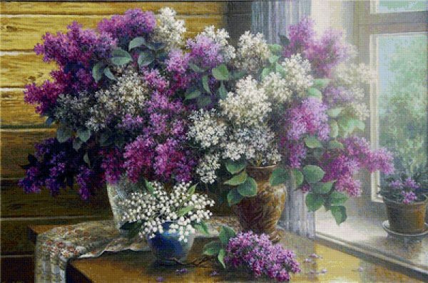 Николай Мошков сирень