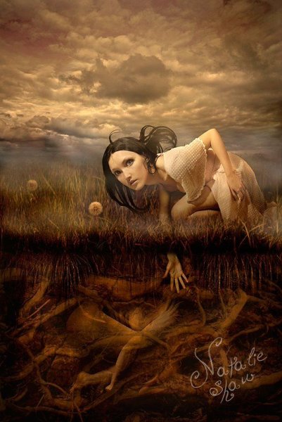 Кэрол бак художник