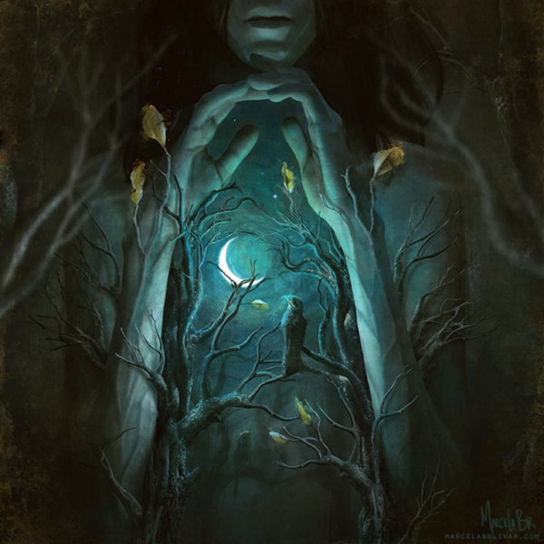 Никен Аниндиты