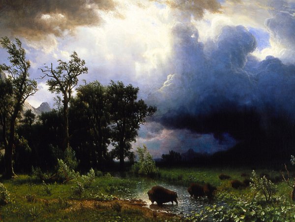 "Гроза", Иоганнес Тавенраат