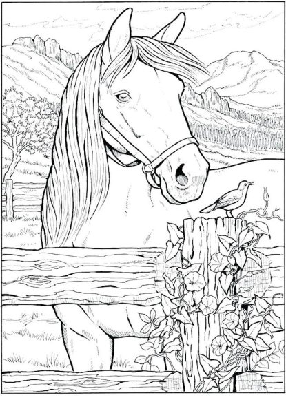 Раскраска. Лошади