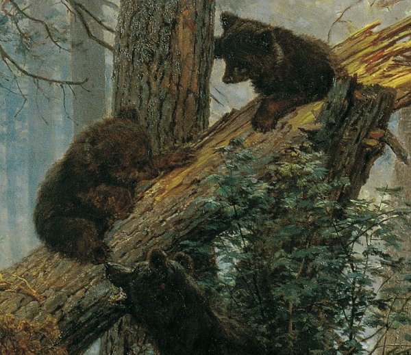 Мишки в Сосновом Бору Путин