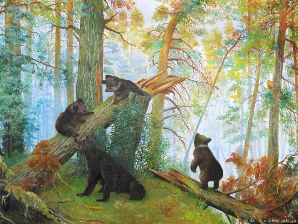 Картина Шишкина утро в Сосновом Бору