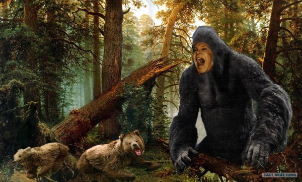 Шишкин три медведя