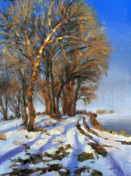 Художник Александр Безродных