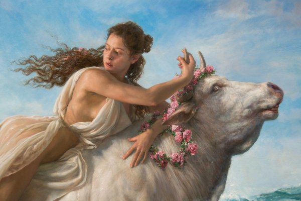 Николай Бурдыкин похищение Европы