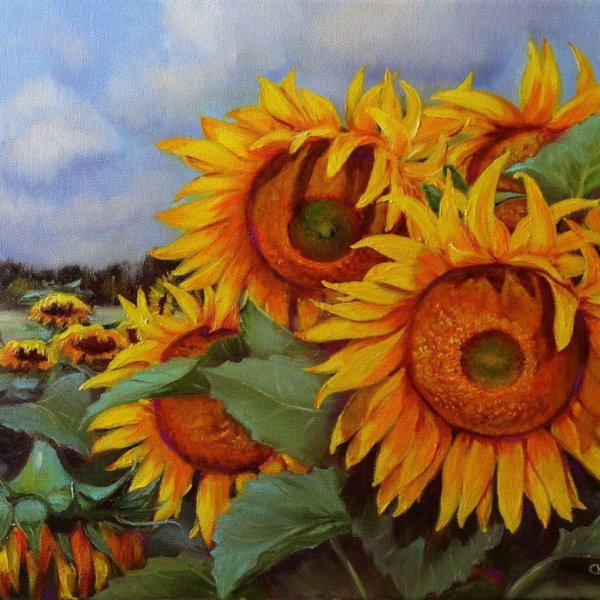 Эрих Крюгер Подсолнухи