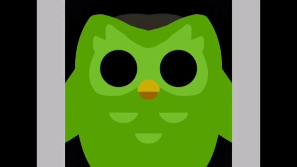 Duolingo Сова
