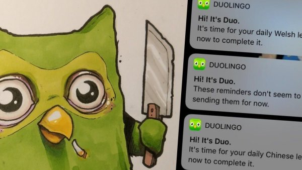 Дуолинго приколы