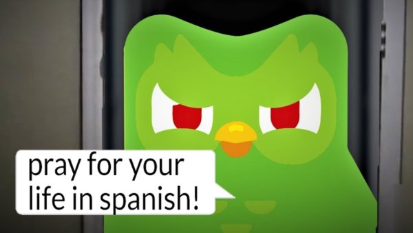 Дуолинго Сова убийца