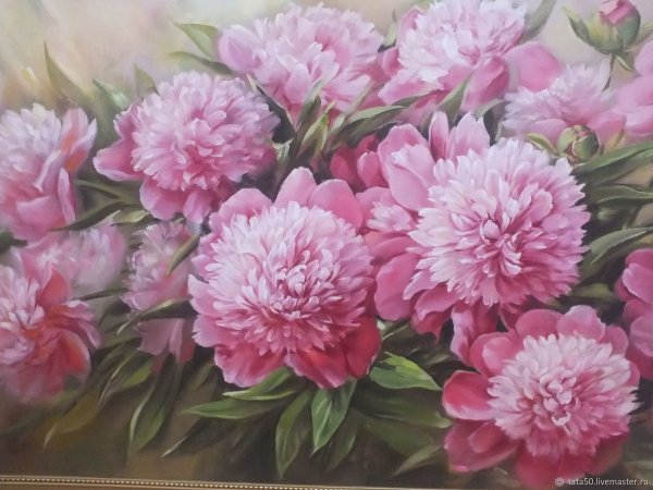 Пионы 40х50 Schreiber