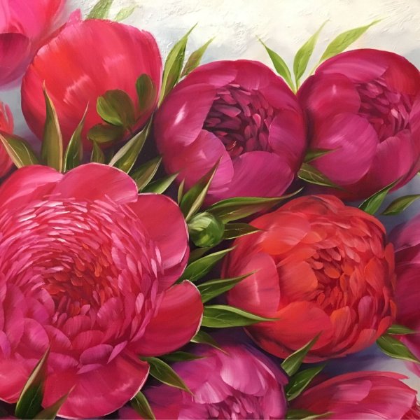 Пионы 40х50 Schreiber