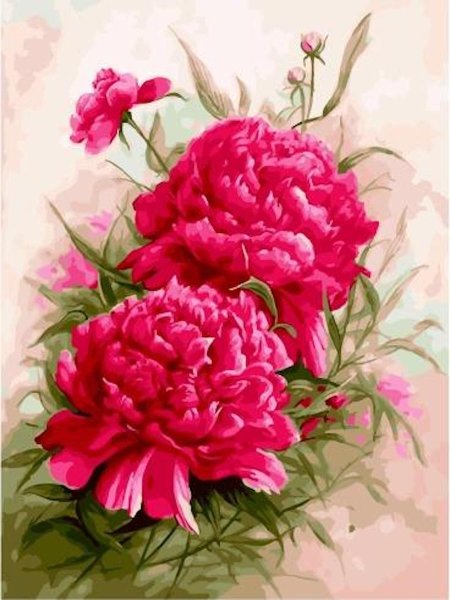 Татьяна Кулигина пионы розовые