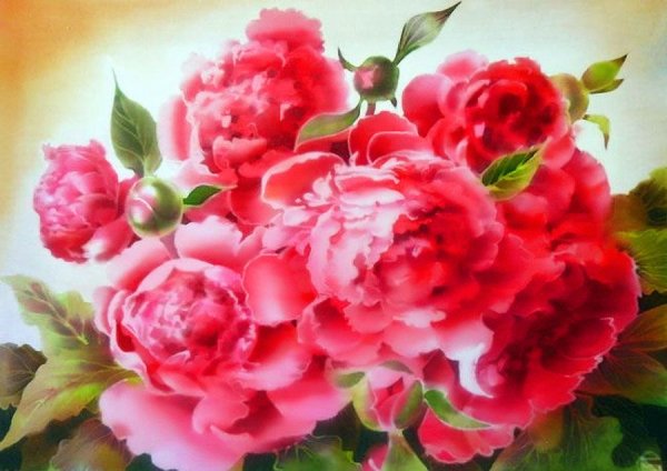 Крости пионы