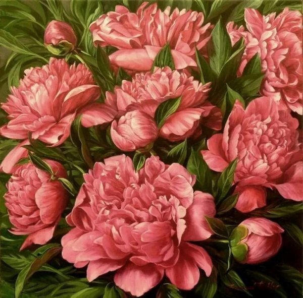 Марина Барелла пионы