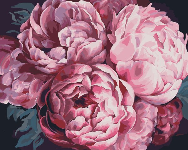 Поль Густав Фишер пионы