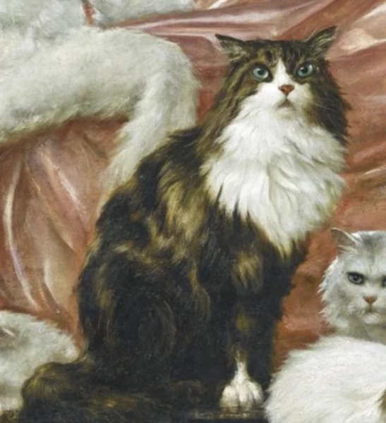 Карл Калер коты