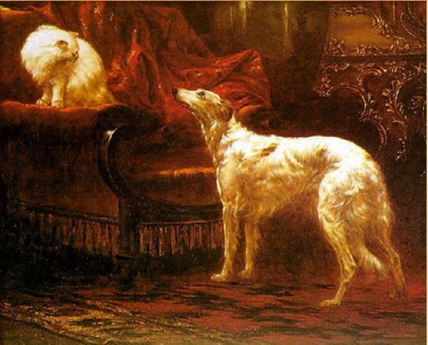 Смешные статусы про зеркало