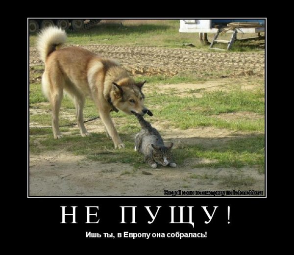 Отец горе в семье