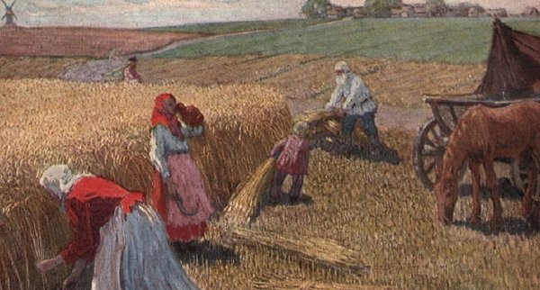 Жатва картина Кустодиева