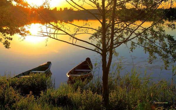 Вечер на берегу реки