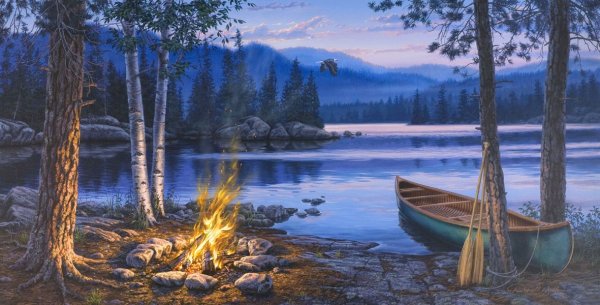 Художник Даррел бушлодка