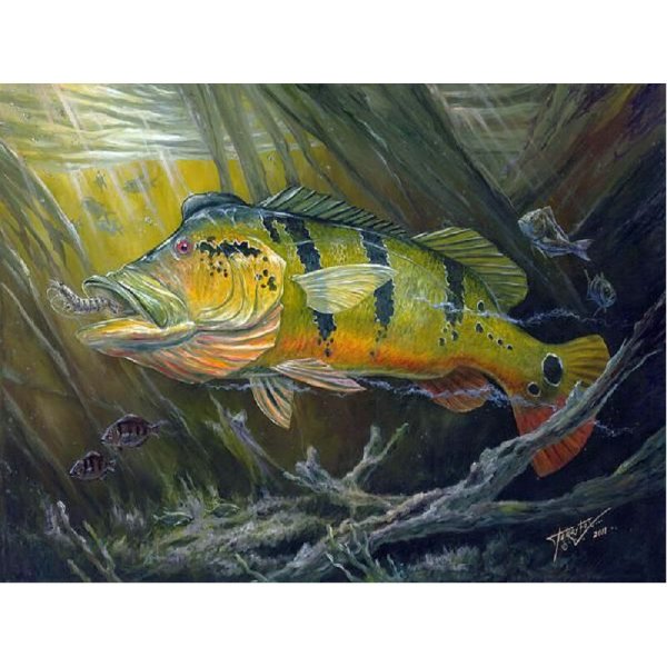 Окунь живопись