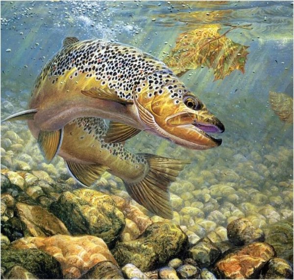 Марк Сузино картины