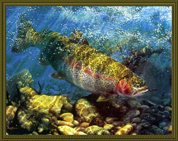 Марк Сузино и его рыбий мир