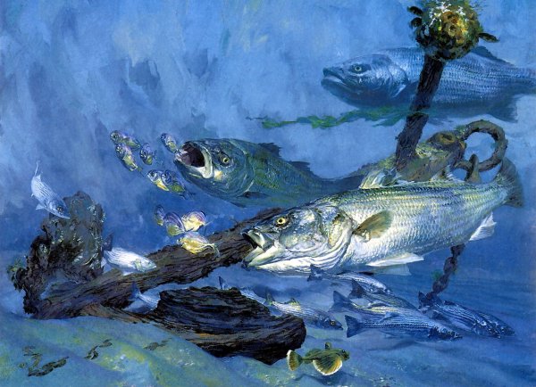 Рыба под водой на картинах художников