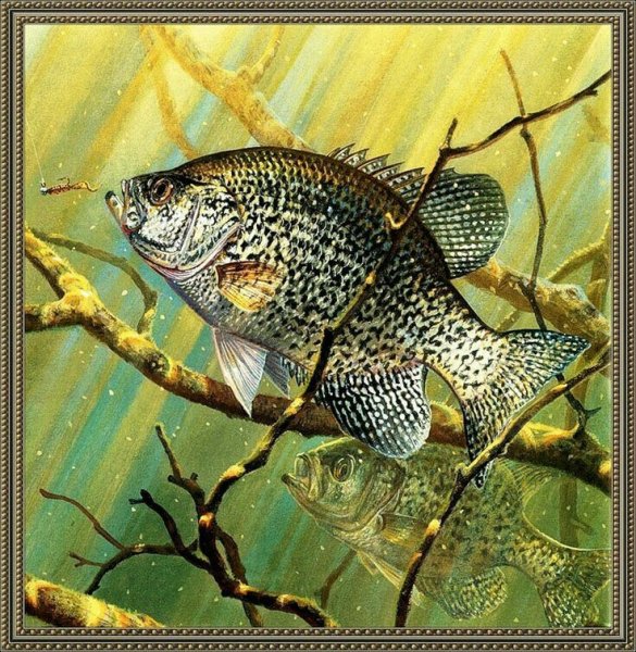 Марк Сузино картины