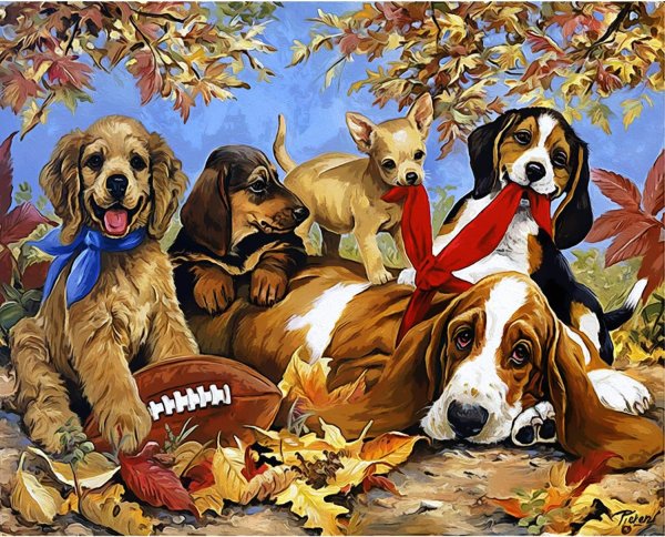 Щенки и собаки