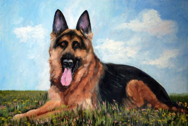 Кассиус Кулидж