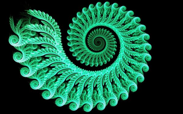 Фрактал папоротник