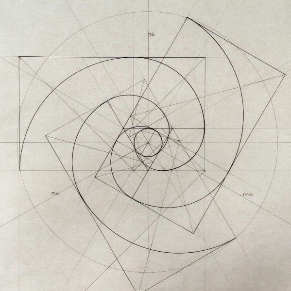 Спираль Фибоначчи золотое сечение