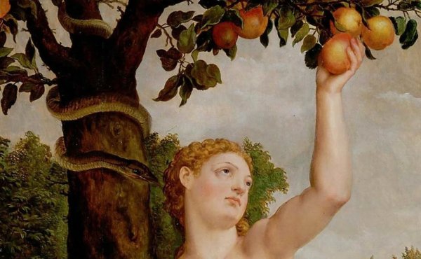 Drazenka Kimpel художник