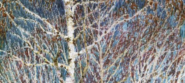 Грабарь Игорь Эммануилович Февральская