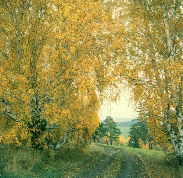 Ранняя осень