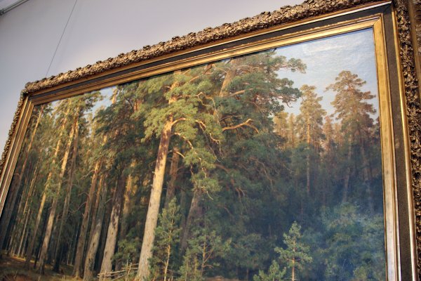 Шишкин Корабельная роща золотое сечение