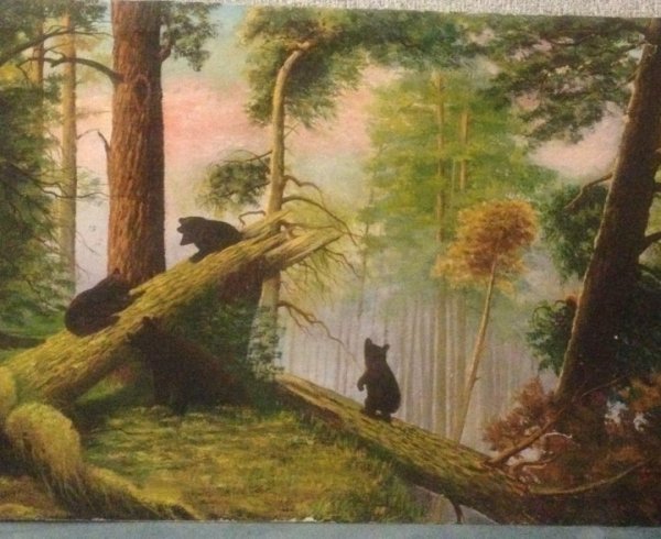 Утро в Сосновом Бору