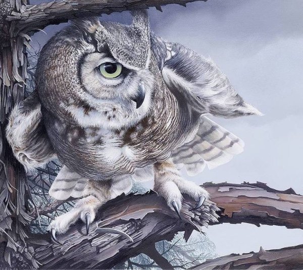 Пейзаж с совой