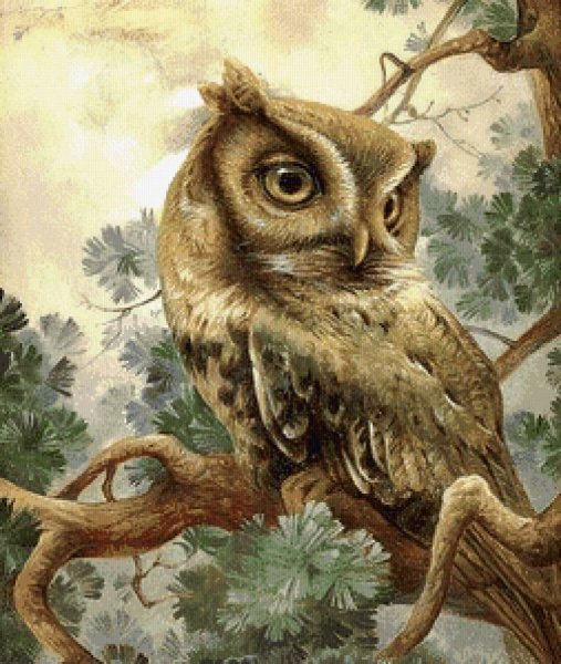 Совушки для декупажа